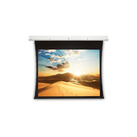 Screen Surface Assembly