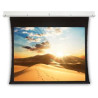 Screen Surface Assembly