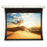 Screen Surface Assembly