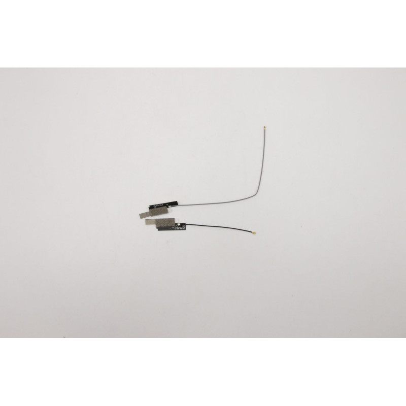 main and sub antenna