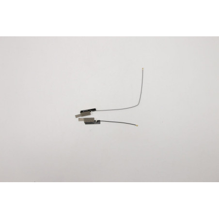 main and sub antenna