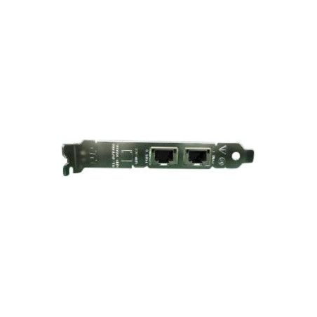 Dual Port 1GbE Network