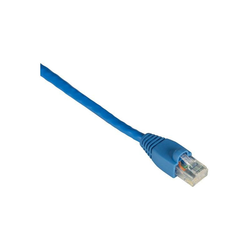 CAT6 SNAGLESS BLUE 4FT