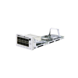 Network Switch Module 10