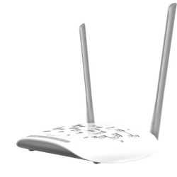 1N Wireless Access Point 300