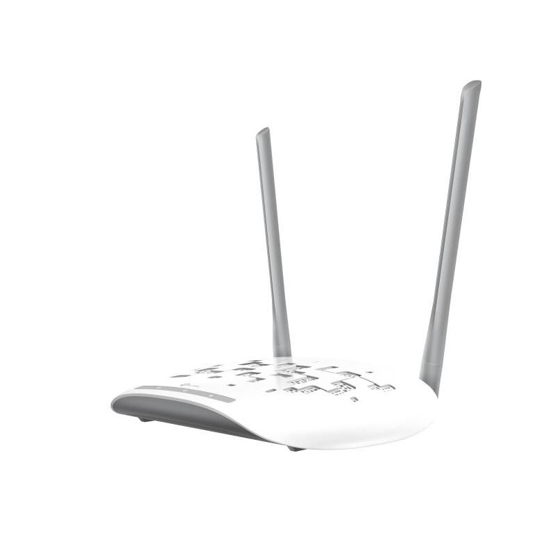 1N Wireless Access Point 300