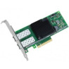 Dual Port 10 Gigabit