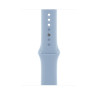 Smart Wearable Accessories