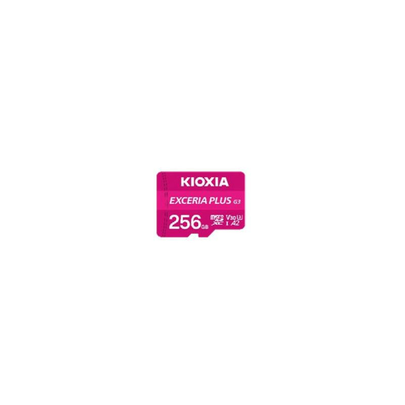 Exceria Plus G3 256 Gb