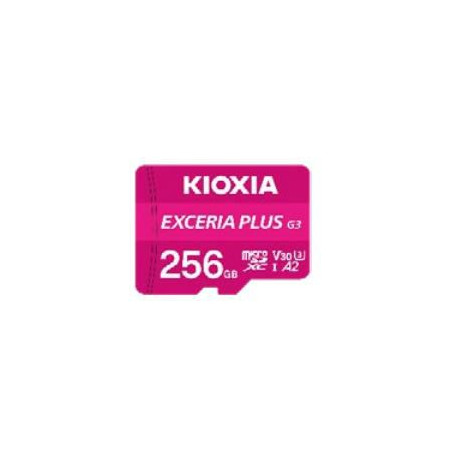 Exceria Plus G3 256 Gb
