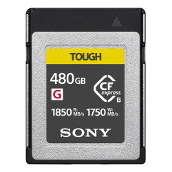 Ceb-G480T 480 Gb Cfexpress