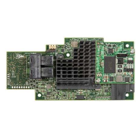 Integrated Raid Module