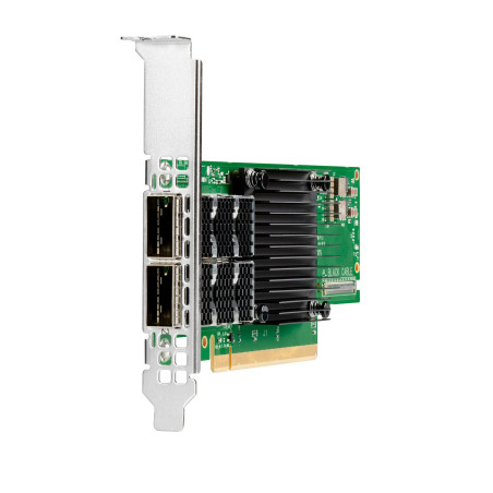P23666-B21 networking card