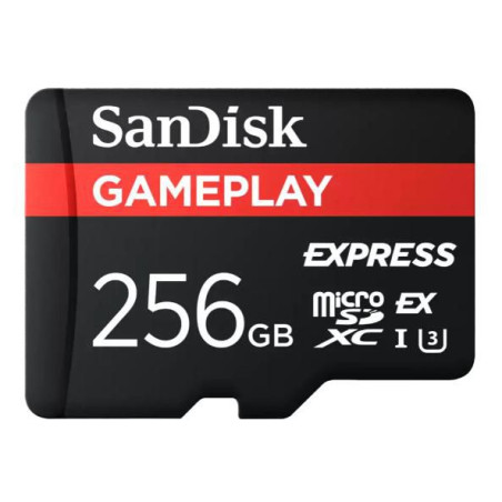 Gameplay Express Microsd