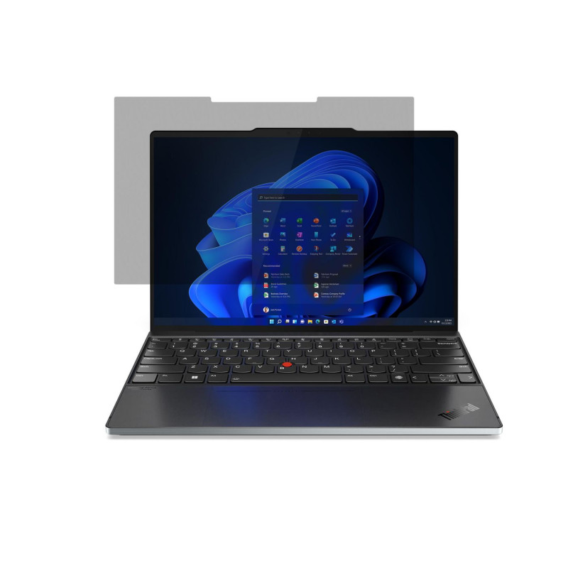 Display Privacy Filter 33.8