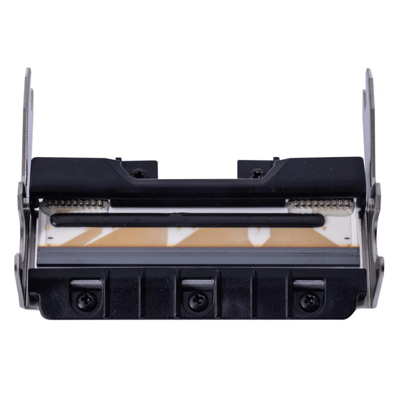 Print Head