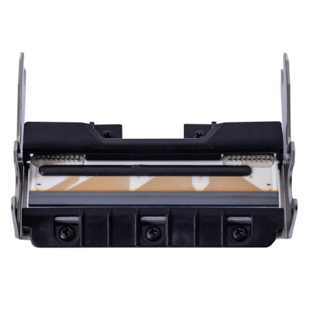 Print Head
