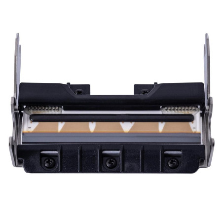 Print Head
