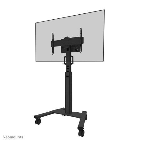 Neomounts Select Mobile Display Floor Stand (32-75IN) 10 Cm | APLIUM