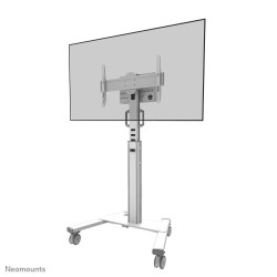 Neomounts Select Mobile Display Floor Stand (32-75IN) 10 Cm | APLIUM