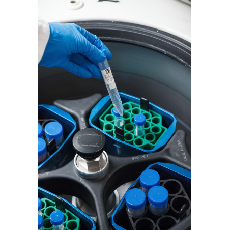 Thermal Transfer Printable