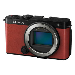 Lumix S9 Compact Camera 24.2