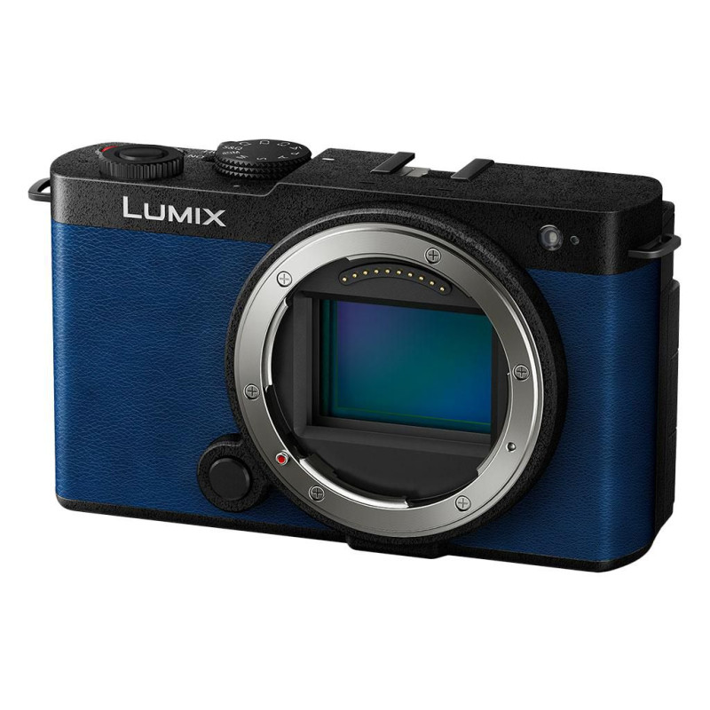 Lumix S9 Compact Camera 24.2