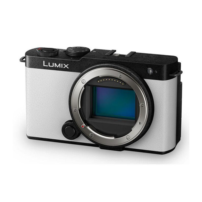 Lumix S9 Body Compact Camera