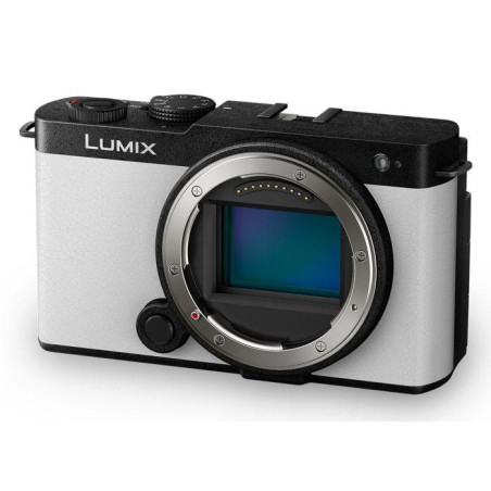 Lumix S9 Body Compact Camera