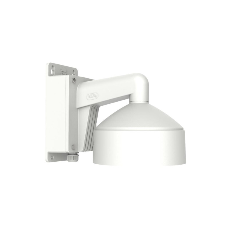 DS-1273ZJ-DM30-B