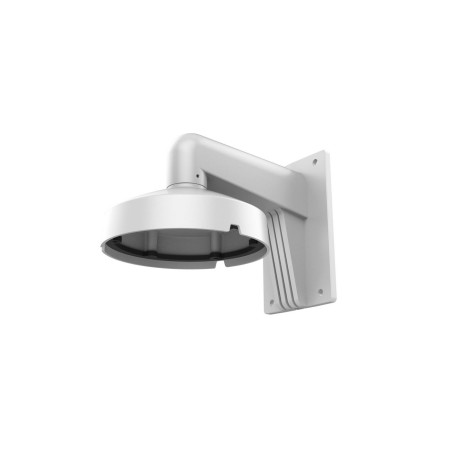DS-1273ZJ-DM25(M1)