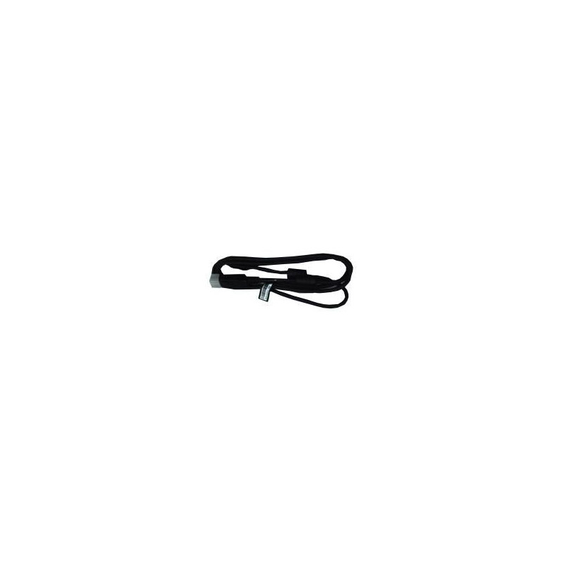 Display Port Cable