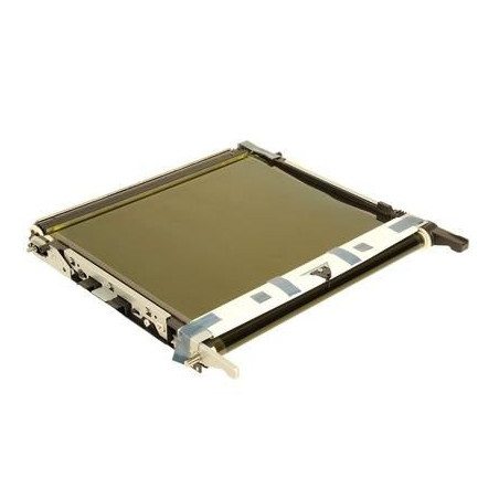 Transfer Belt