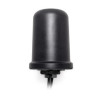 Cellular / 4x 5G MIMO Antenna