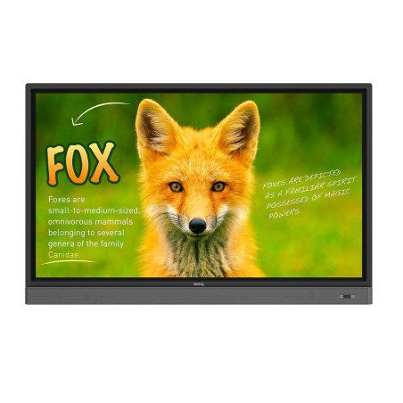 65 IN INTERACTIVE FLAT PANEL