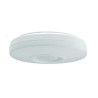Low Profile PIR Detector