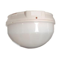 Panoramic Detector