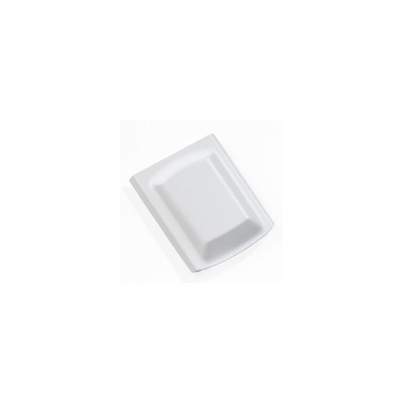 Spare Battery (extended)