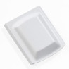 Spare Battery (extended)