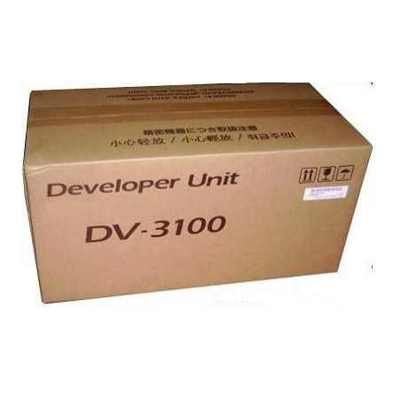 Developer Unit DV-3100