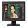 ProDisplay P17A - LED 17inch