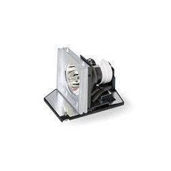 LAMP.MODULE 240W E20.8 O3 MID