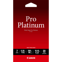 Paper/PT-101 Pro Platinum Photo 4x6 20sh