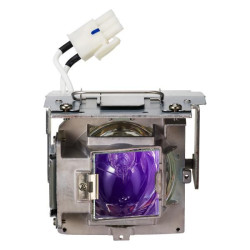 Replacement Lamp