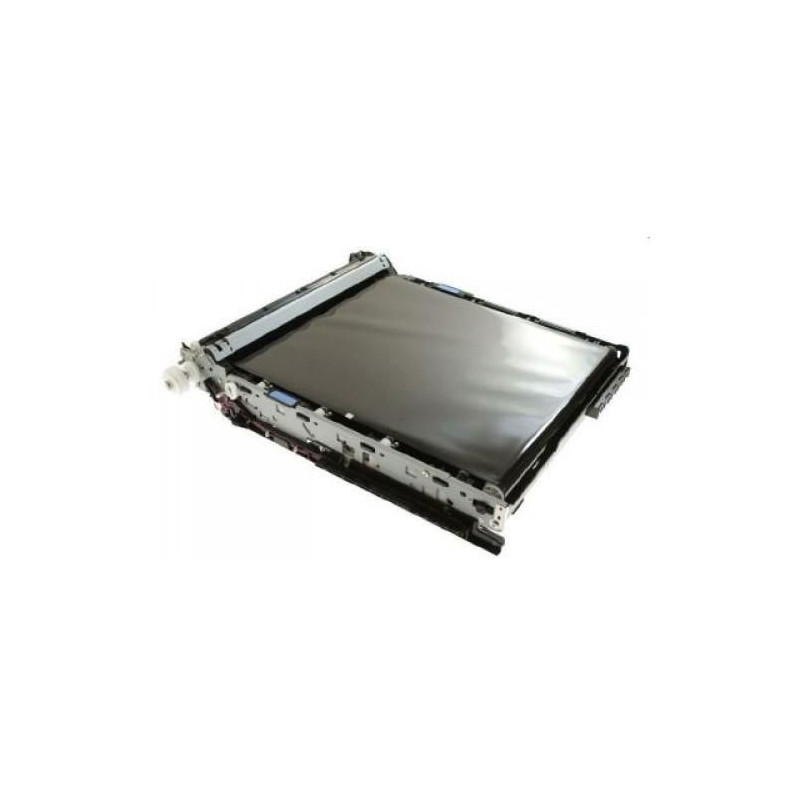 Intermediate Transfer Belt
