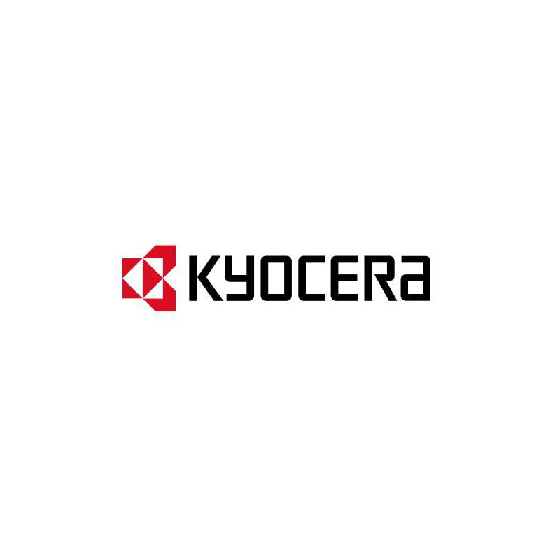 Developer Unit