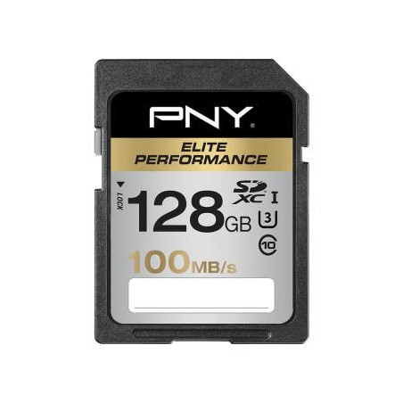 SDXC 128GB ELITE PERF. CLASS10