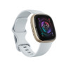Sense 2 Gold Gps (Satellite) | APLIUM