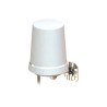 Catalyst Network Antenna