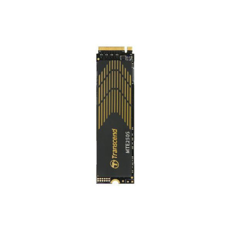 250S M.2 1000 Gb Pci Express